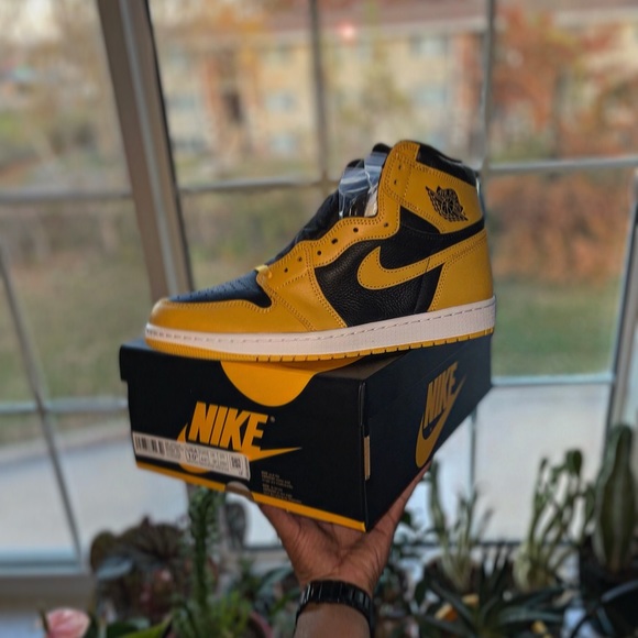Jordan 1 Retro High Pollen (DS)